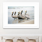 Pacific Cool IV Crop by Elizabeth Urquhart on GIANT ART - grey animals