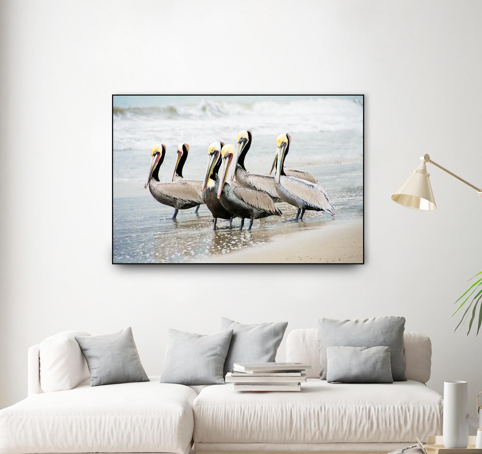 Pacific Cool IV Crop by Elizabeth Urquhart on GIANT ART - grey animals