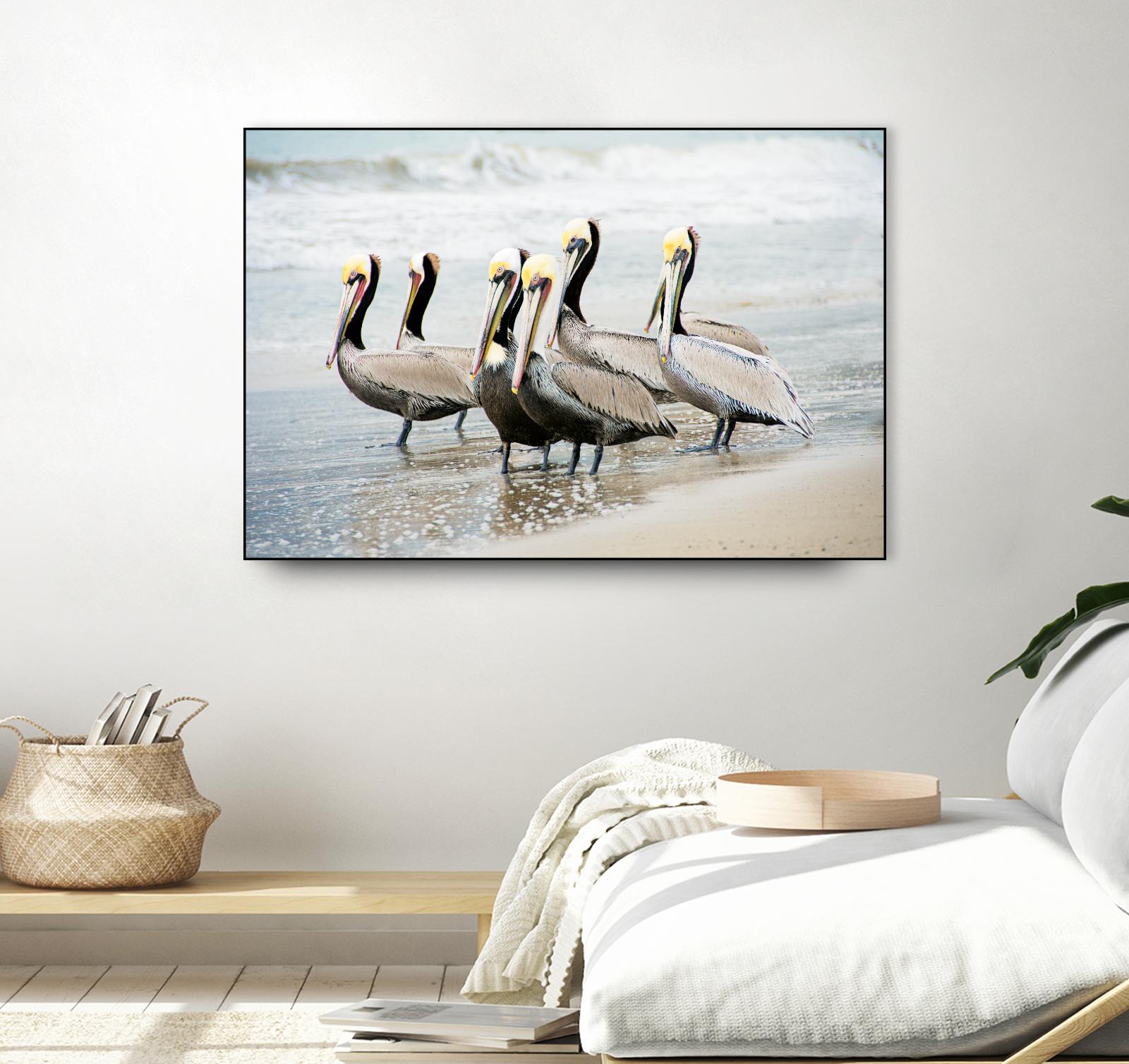 Pacific Cool IV Crop by Elizabeth Urquhart on GIANT ART - grey animals