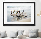 Pacific Cool IV Crop by Elizabeth Urquhart on GIANT ART - grey animals