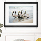 Pacific Cool IV Crop by Elizabeth Urquhart on GIANT ART - grey animals