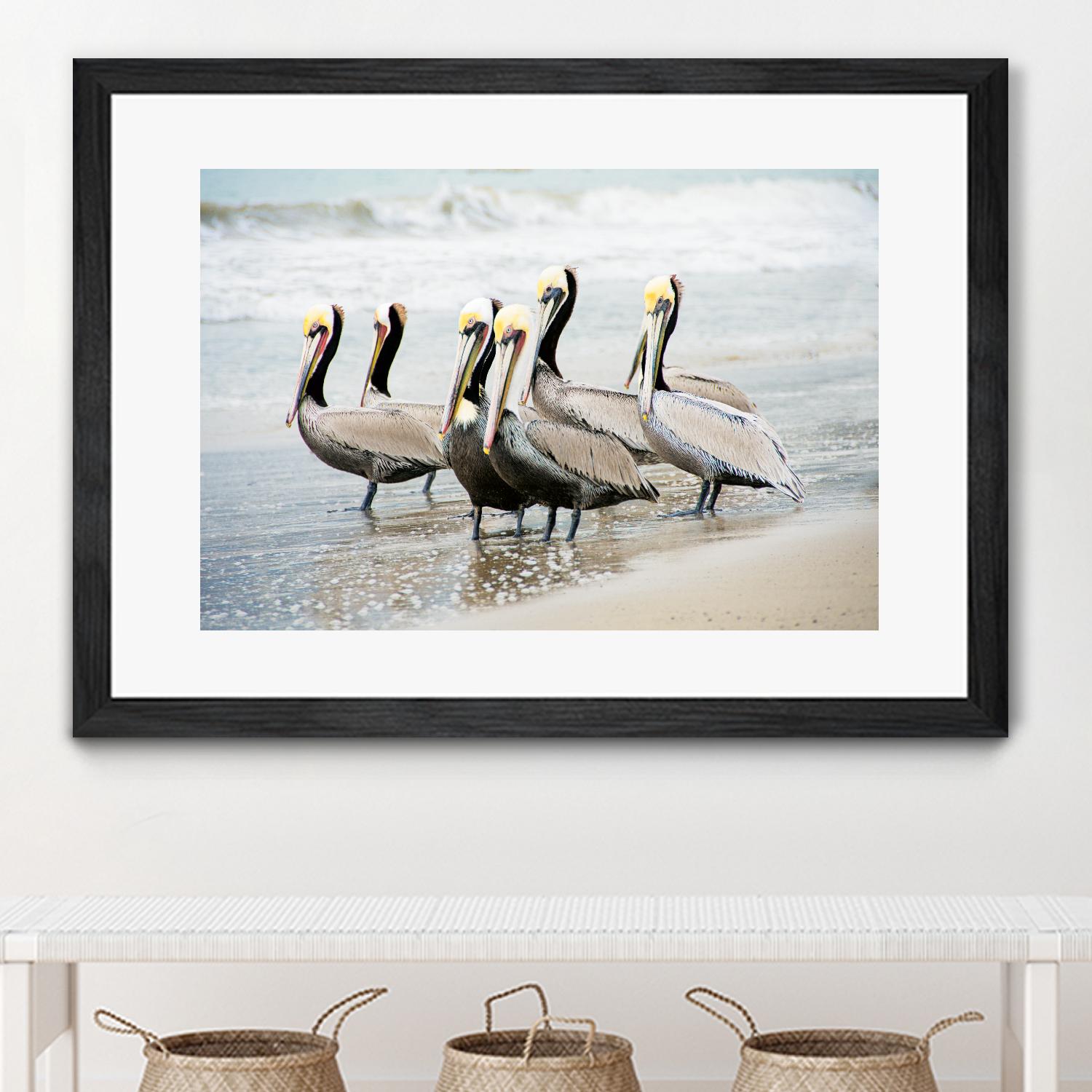 Pacific Cool IV Crop by Elizabeth Urquhart on GIANT ART - grey animals