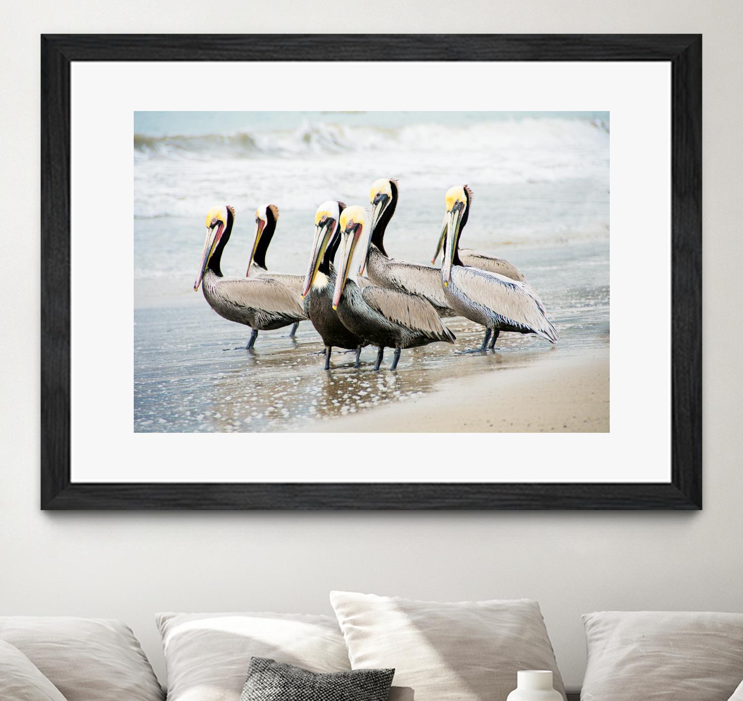 Pacific Cool IV Crop by Elizabeth Urquhart on GIANT ART - grey animals