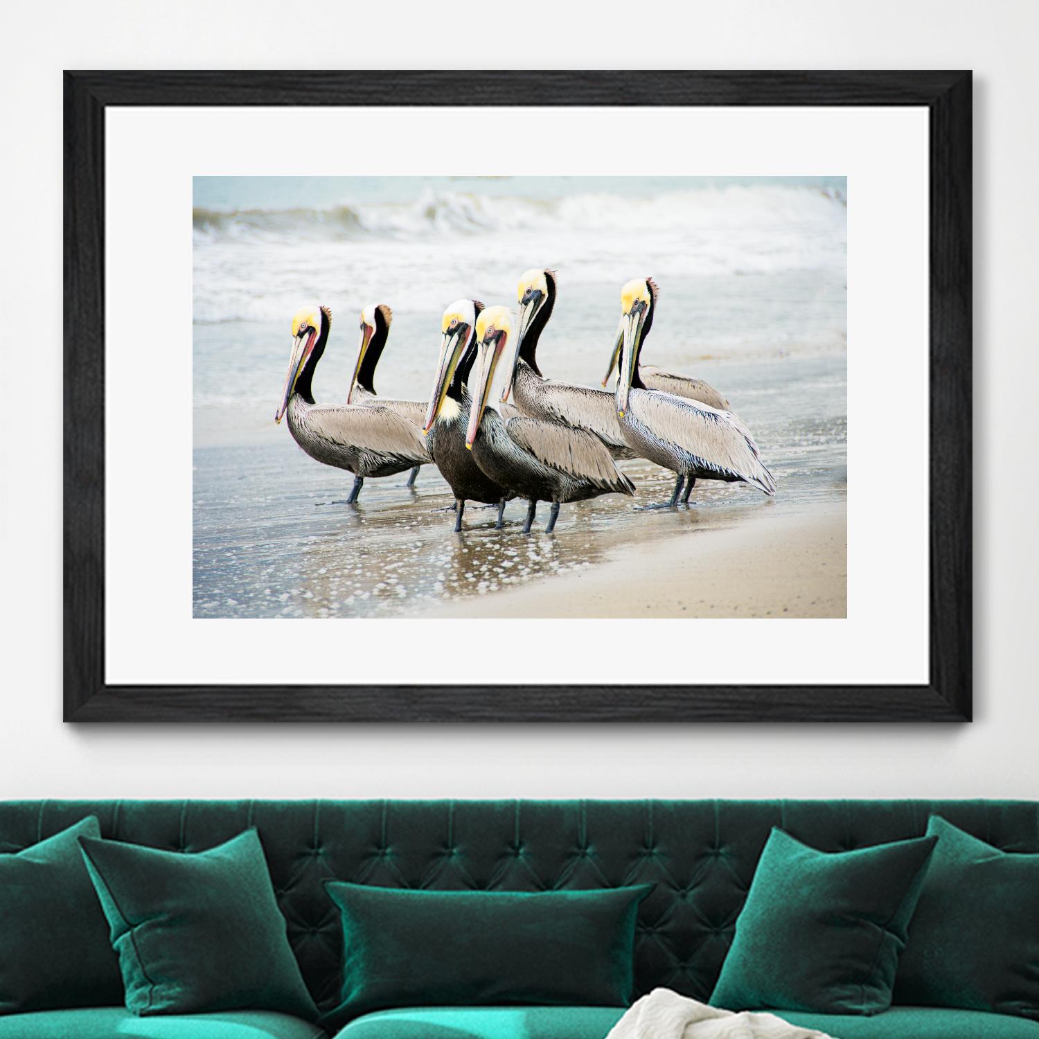 Pacific Cool IV Crop by Elizabeth Urquhart on GIANT ART - grey animals