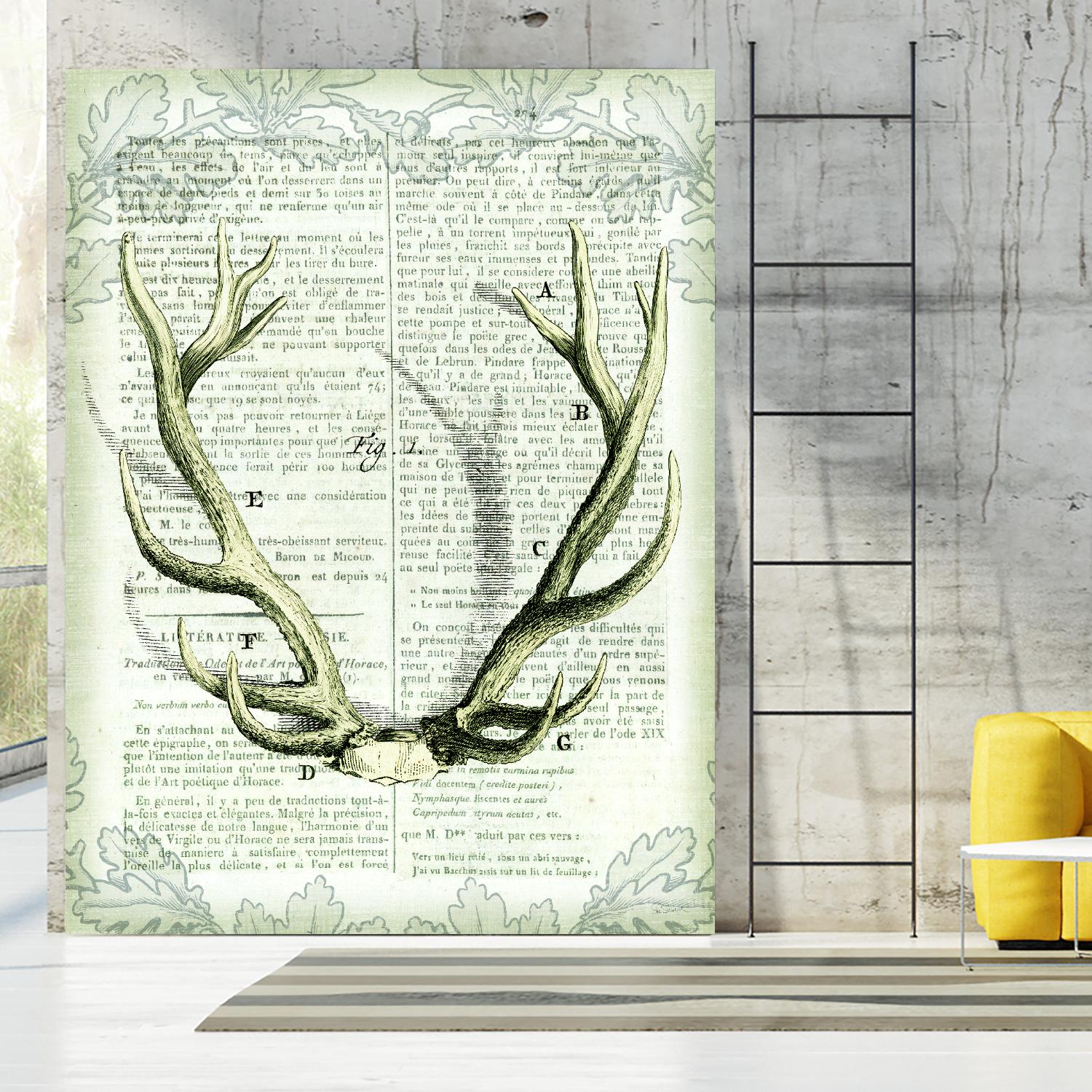 Regal Antlers on Newsprint I by Sue Schlabach on GIANT ART - brown country look