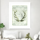 Regal Antlers on Newsprint I by Sue Schlabach on GIANT ART - brown country look