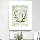 Regal Antlers on Newsprint I by Sue Schlabach on GIANT ART - brown country look
