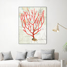 Textured Coral I by Avery Tillmon on GIANT ART - beige nautical