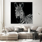 Zebra II by Debra Van Swearingen on GIANT ART - white animals