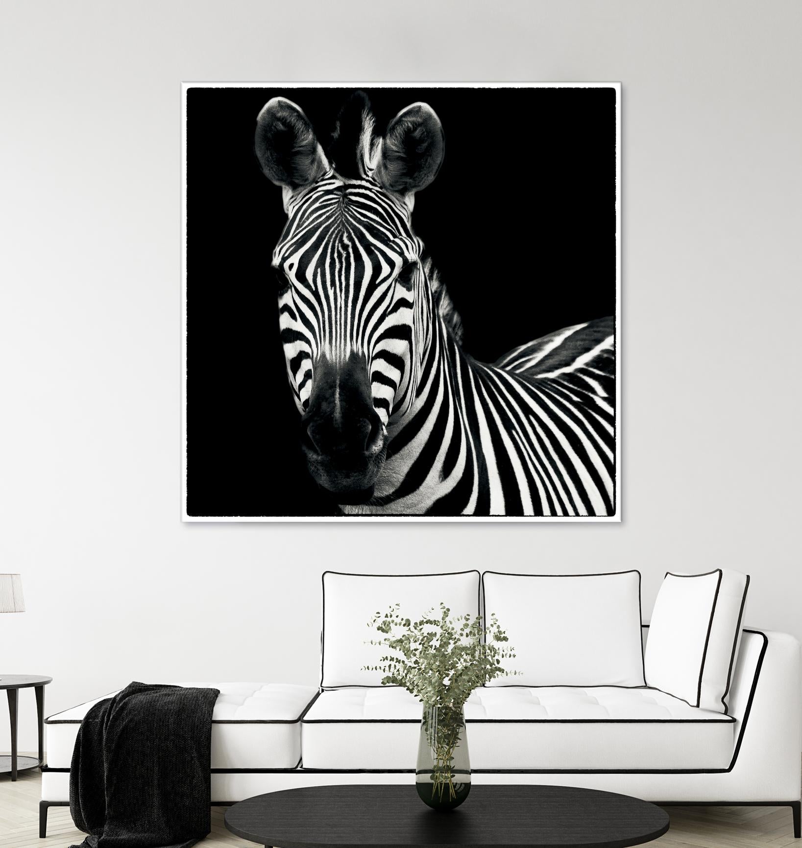Zebra II by Debra Van Swearingen on GIANT ART - white animals