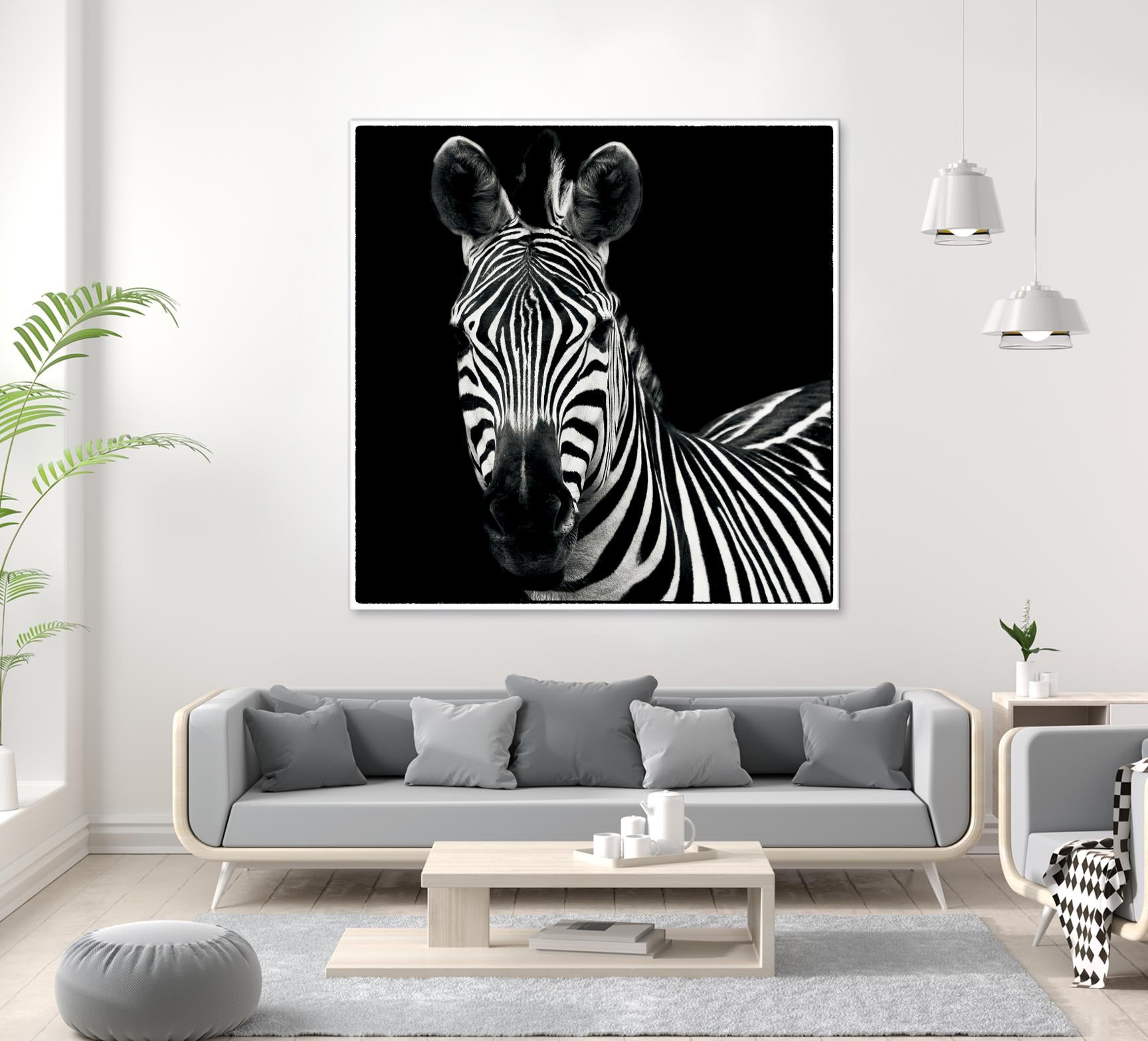 Zebra II by Debra Van Swearingen on GIANT ART - white animals