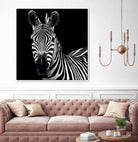 Zebra II by Debra Van Swearingen on GIANT ART - white animals