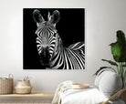 Zebra II by Debra Van Swearingen on GIANT ART - white animals