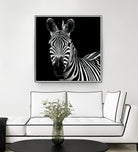 Zebra II by Debra Van Swearingen on GIANT ART - white animals