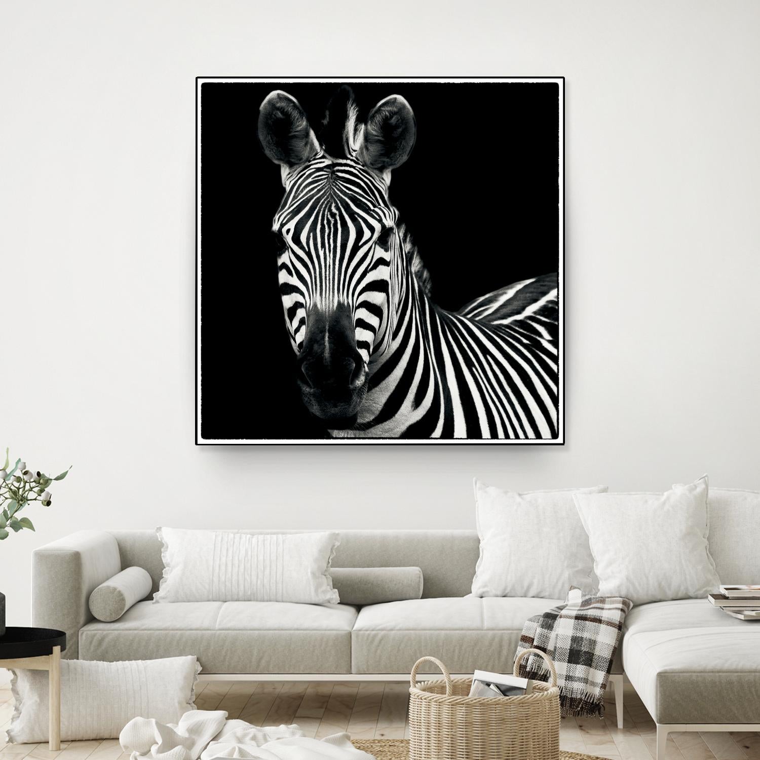 Zebra II by Debra Van Swearingen on GIANT ART - white animals