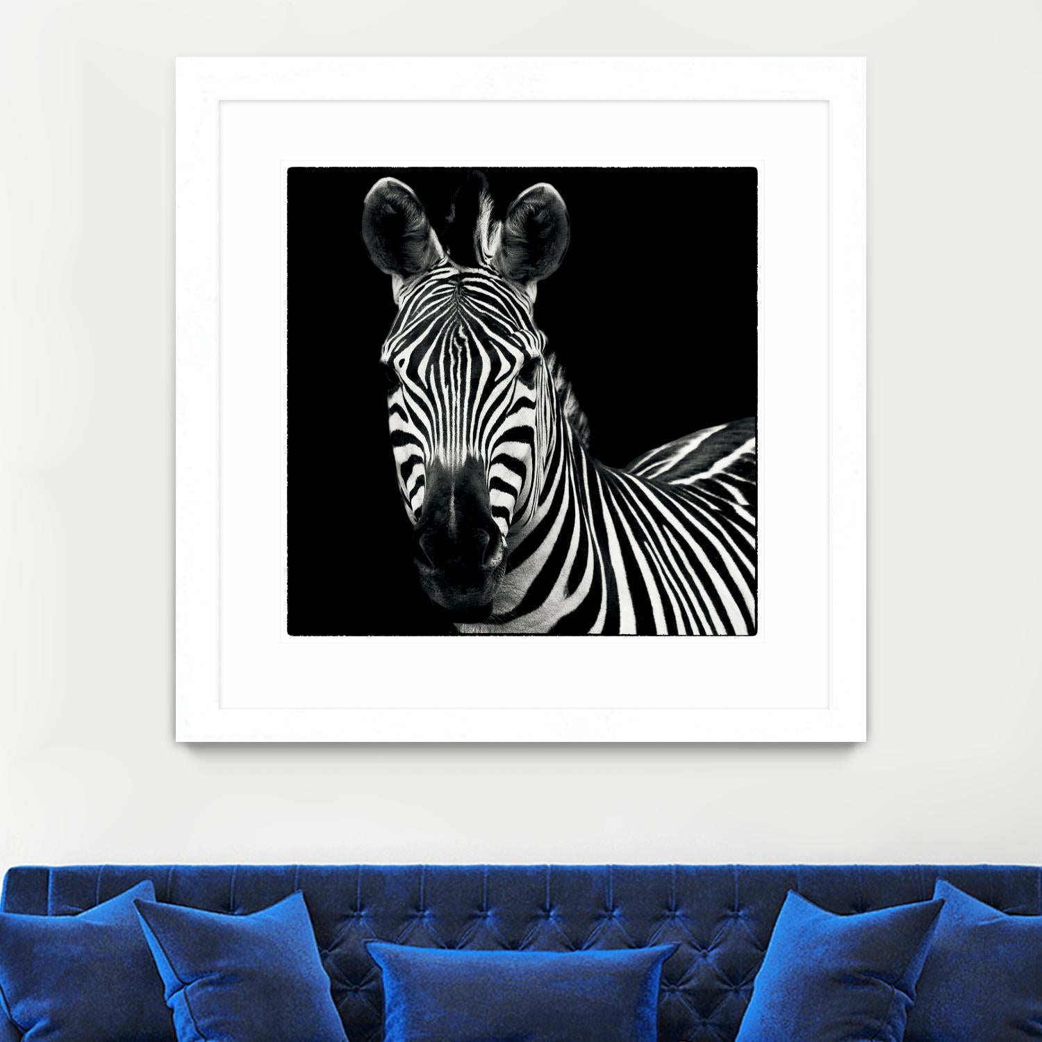 Zebra II by Debra Van Swearingen on GIANT ART - white animals