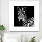 Zebra II by Debra Van Swearingen on GIANT ART - white animals