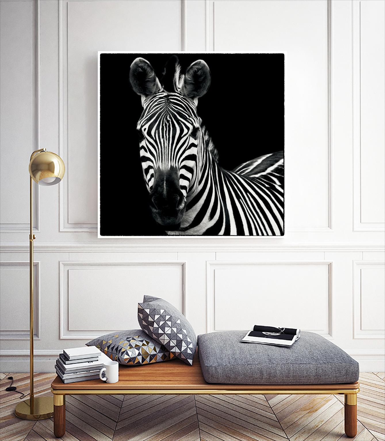 Zebra II by Debra Van Swearingen on GIANT ART - white animals