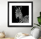 Zebra II by Debra Van Swearingen on GIANT ART - white animals