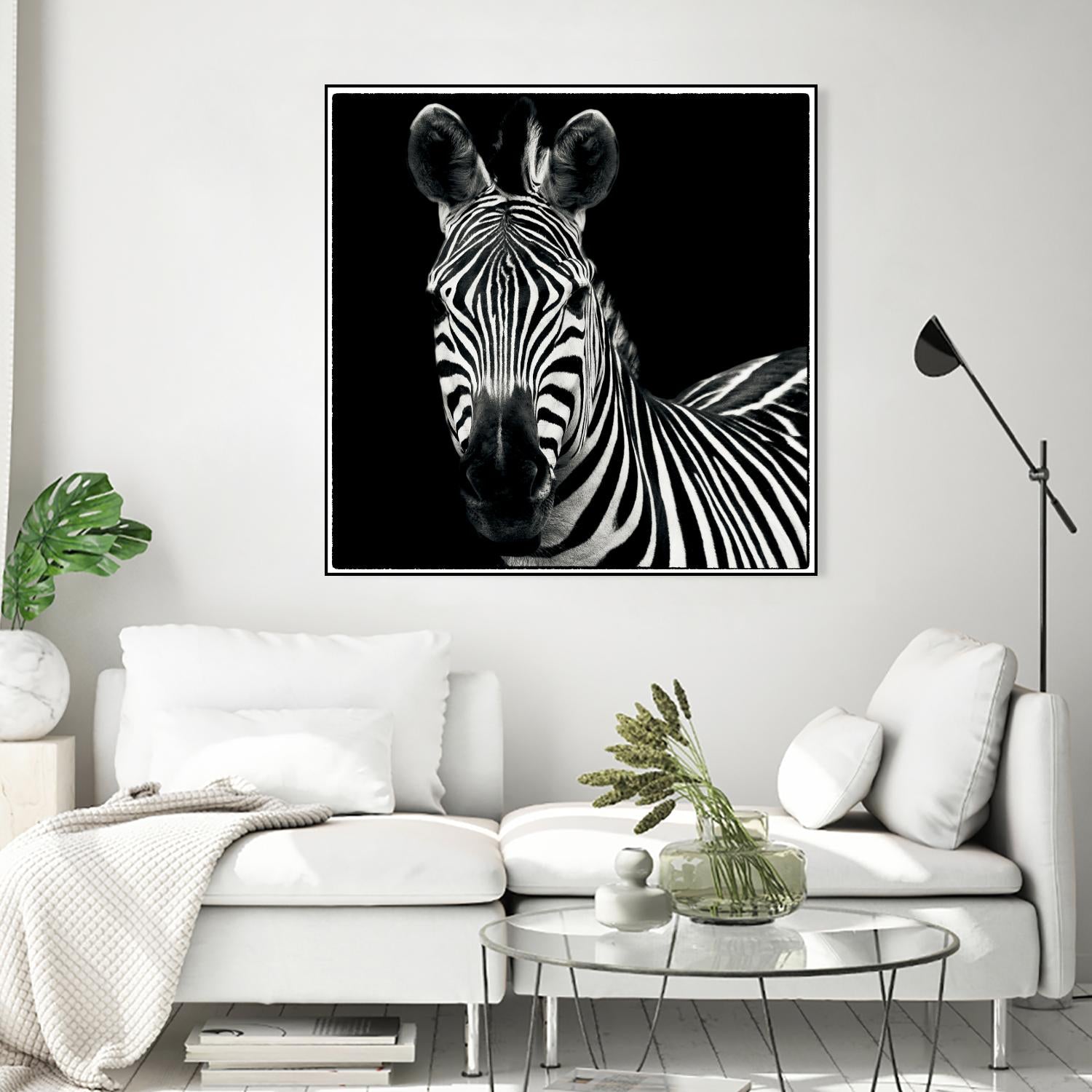 Zebra II by Debra Van Swearingen on GIANT ART - white animals
