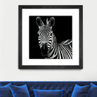 Zebra II by Debra Van Swearingen on GIANT ART - white animals