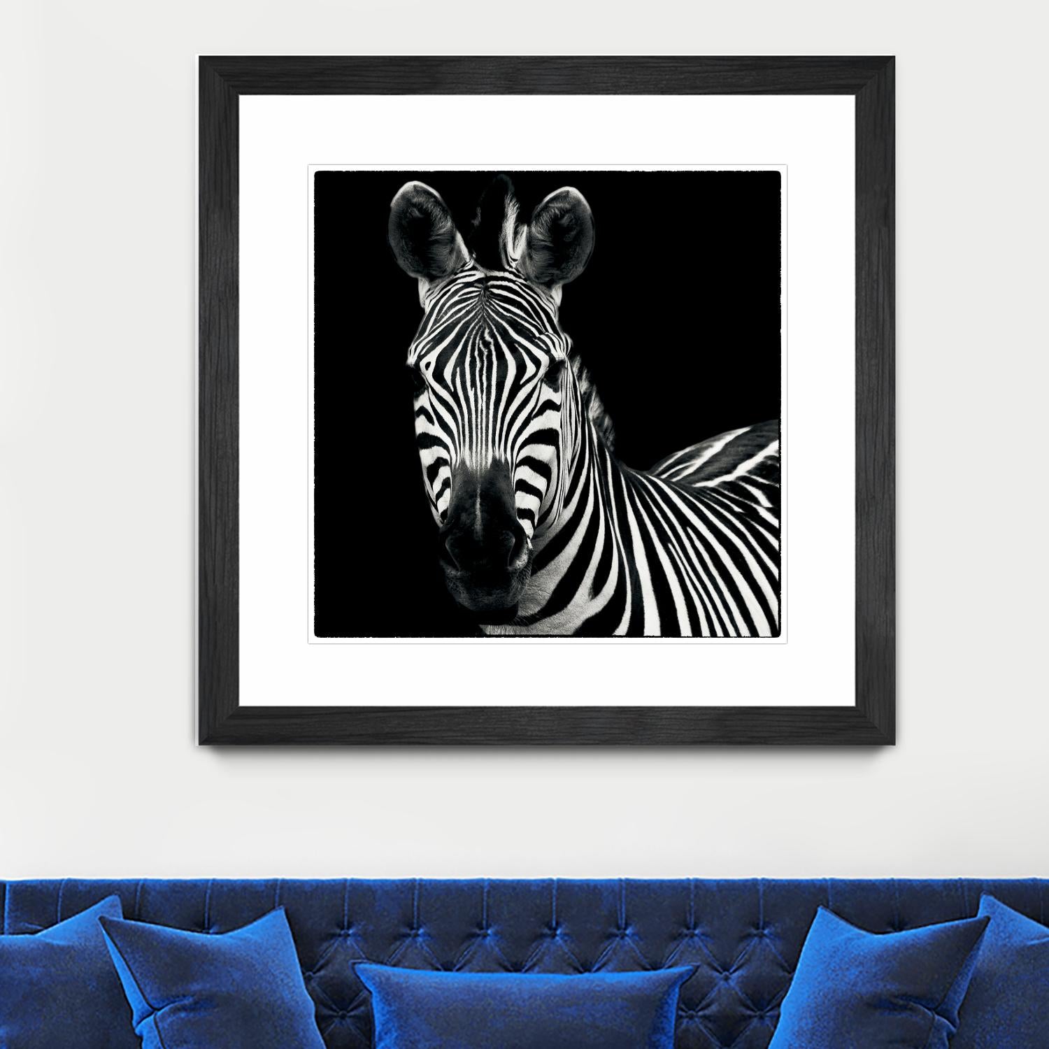 Zebra II by Debra Van Swearingen on GIANT ART - white animals