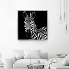 Zebra II by Debra Van Swearingen on GIANT ART - white animals