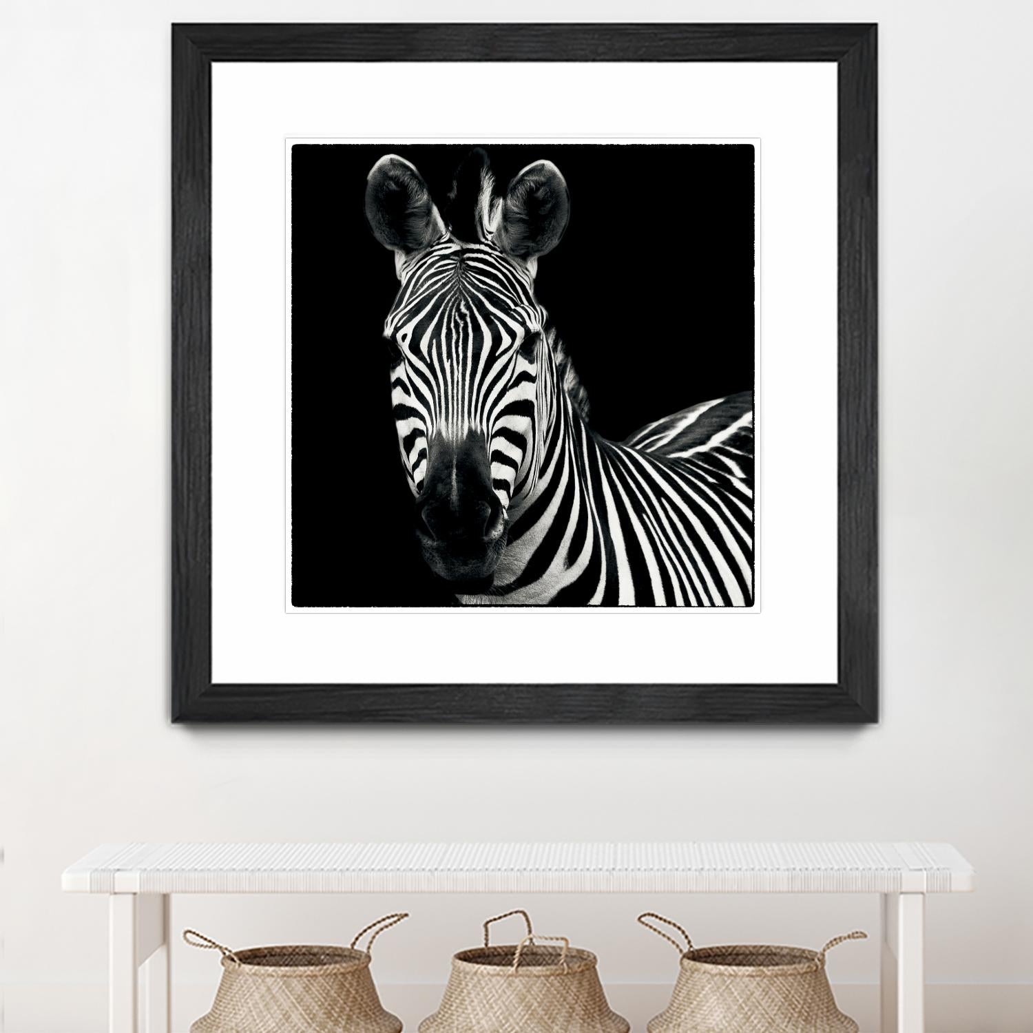 Zebra II by Debra Van Swearingen on GIANT ART - white animals