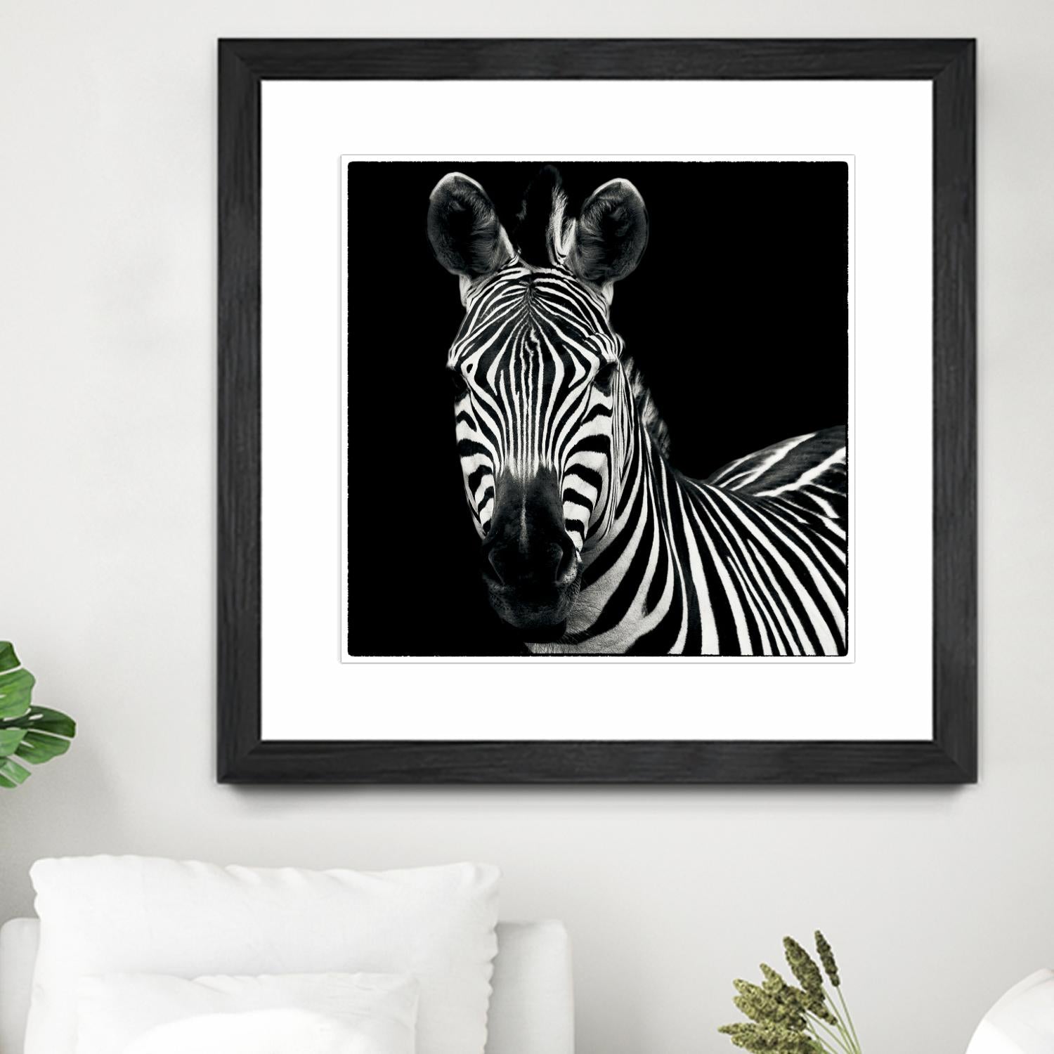 Zebra II by Debra Van Swearingen on GIANT ART - white animals