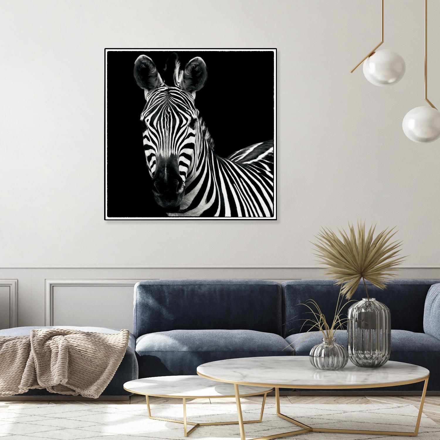 Zebra II by Debra Van Swearingen on GIANT ART - white animals