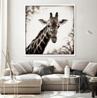 Giraffe I by Debra Van Swearingen on GIANT ART - grey animals
