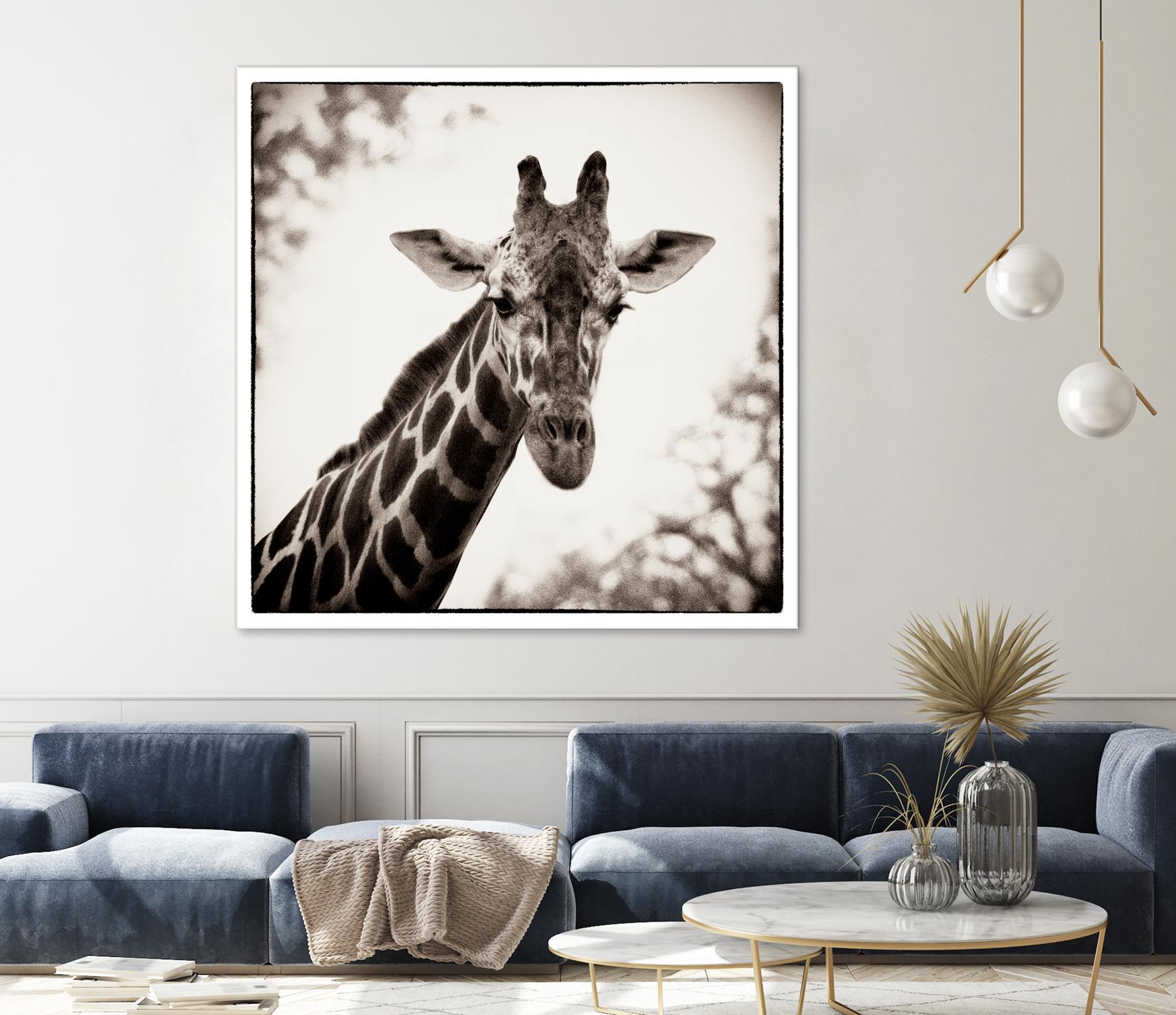 Giraffe I by Debra Van Swearingen on GIANT ART - grey animals