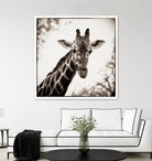 Giraffe I by Debra Van Swearingen on GIANT ART - grey animals