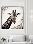 Giraffe I by Debra Van Swearingen on GIANT ART - grey animals