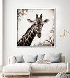 Giraffe I by Debra Van Swearingen on GIANT ART - grey animals