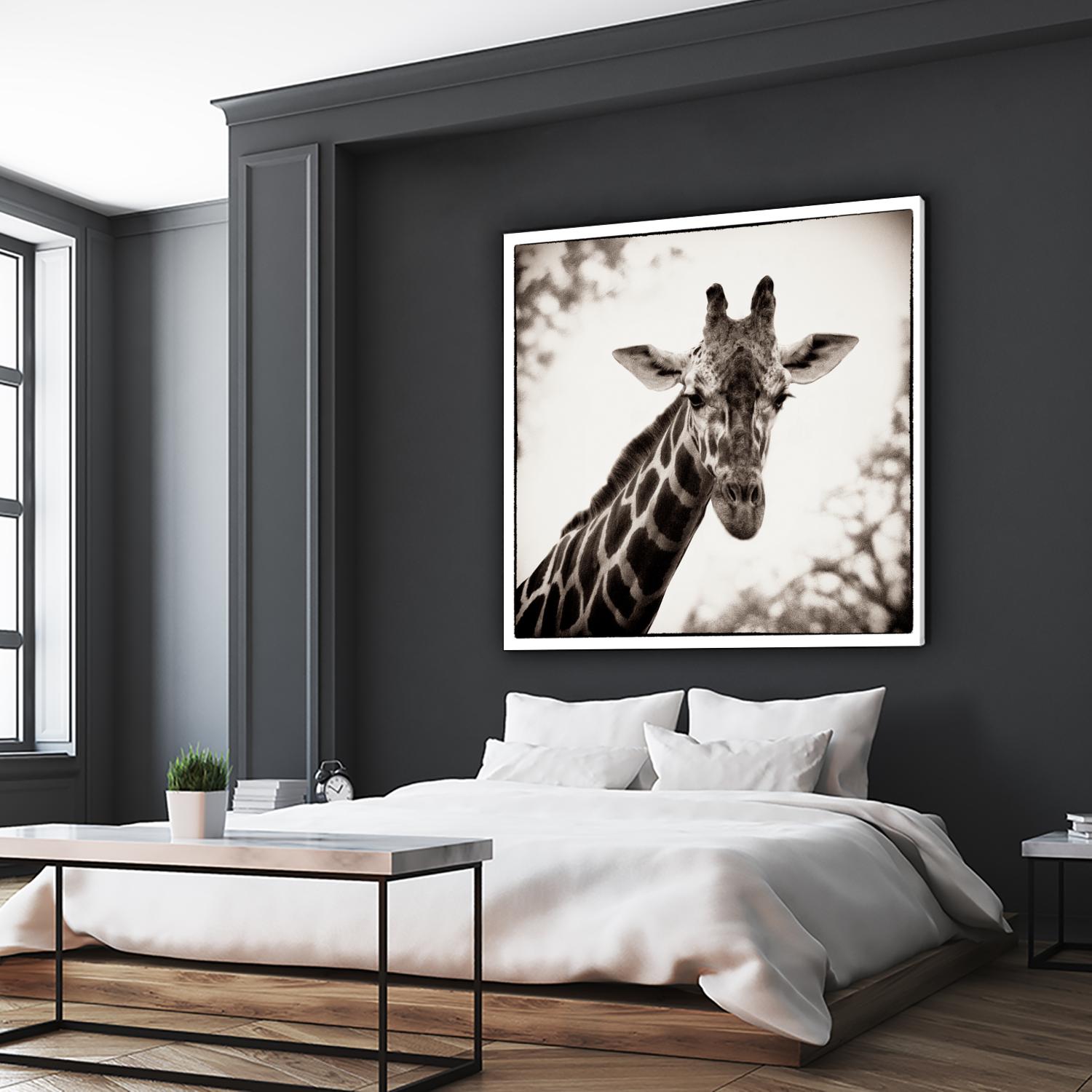 Giraffe I by Debra Van Swearingen on GIANT ART - grey animals