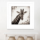 Giraffe I by Debra Van Swearingen on GIANT ART - grey animals