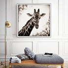 Giraffe I by Debra Van Swearingen on GIANT ART - grey animals
