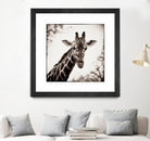 Giraffe I by Debra Van Swearingen on GIANT ART - grey animals