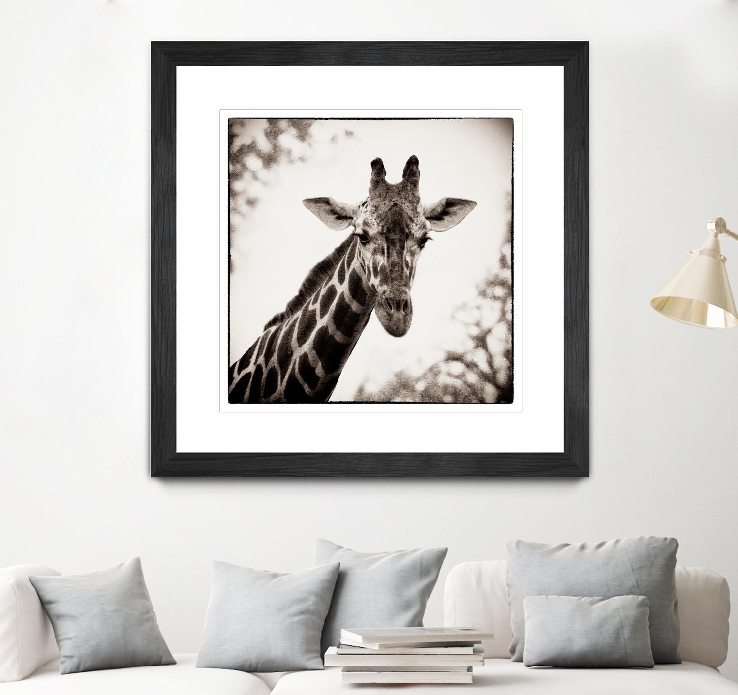 Giraffe I by Debra Van Swearingen on GIANT ART - grey animals