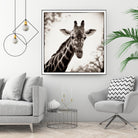 Giraffe I by Debra Van Swearingen on GIANT ART - grey animals