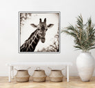 Giraffe I by Debra Van Swearingen on GIANT ART - grey animals