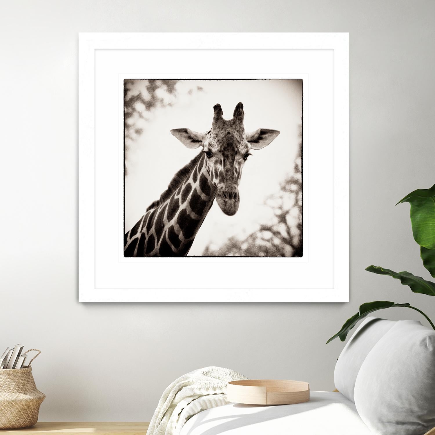 Giraffe I by Debra Van Swearingen on GIANT ART - grey animals