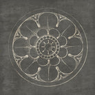 Rosette III Gray by Portfolio on GIANT ART - grey contemporary