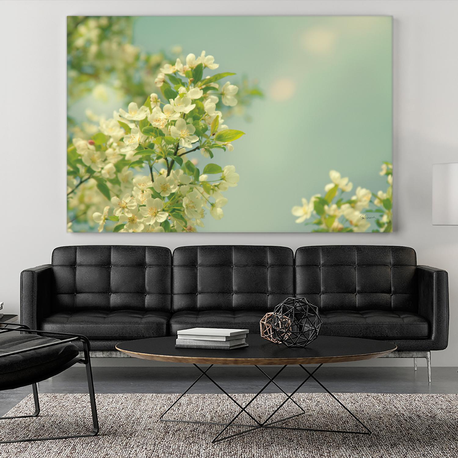 Spring Beauty I by Sue Schlabach on GIANT ART - white floral