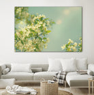 Spring Beauty I by Sue Schlabach on GIANT ART - white floral