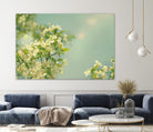 Spring Beauty I by Sue Schlabach on GIANT ART - white floral