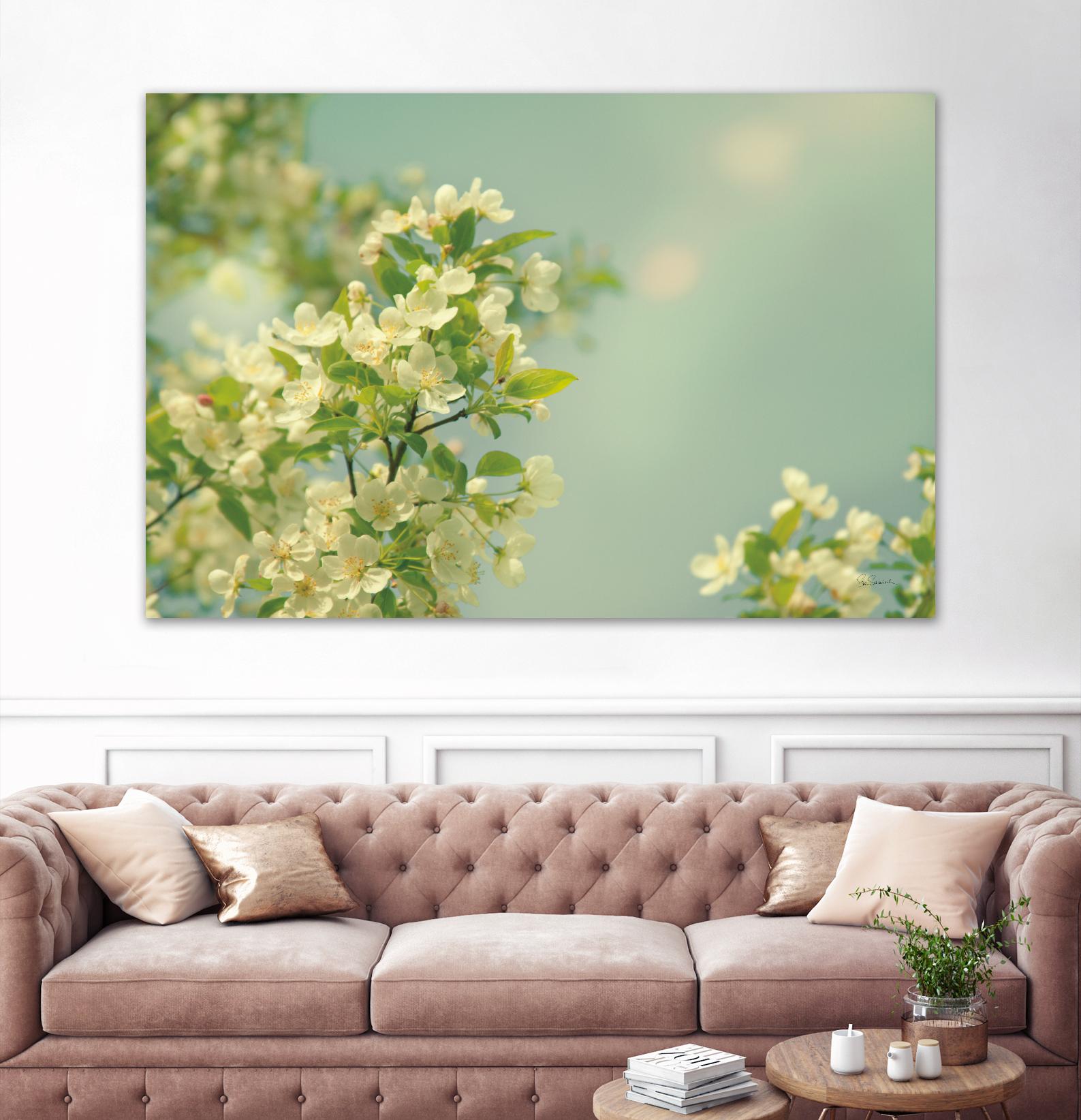 Spring Beauty I by Sue Schlabach on GIANT ART - white floral