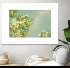 Spring Beauty I by Sue Schlabach on GIANT ART - white floral