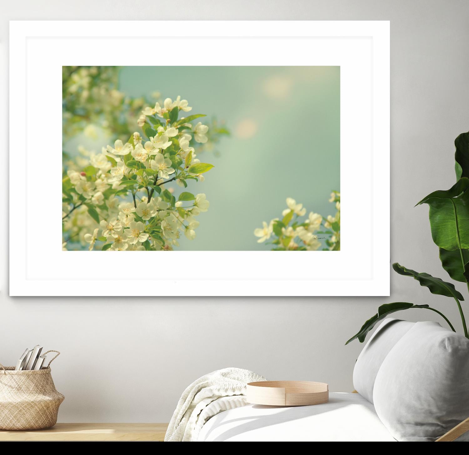 Spring Beauty I by Sue Schlabach on GIANT ART - white floral